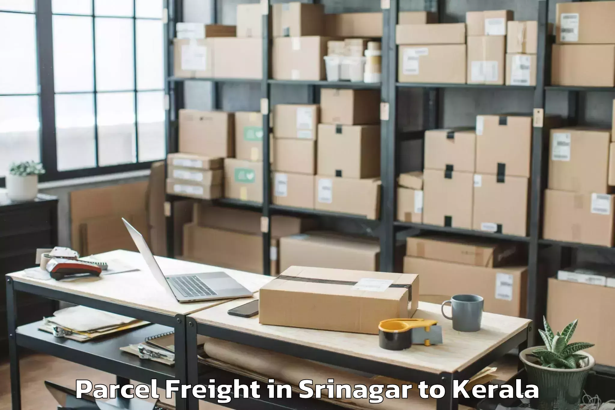 Book Srinagar to Karunagappally Parcel Freight Online